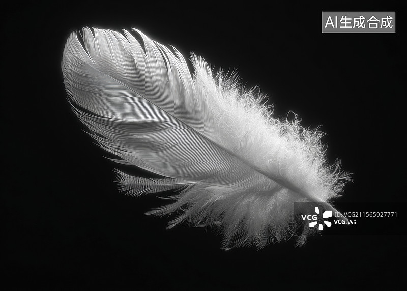 【AI数字艺术】黑色背景下的纯洁白色羽毛图片素材