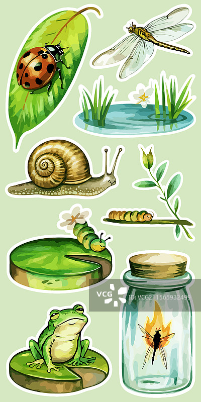 复古自然与野生动物贴纸图片素材