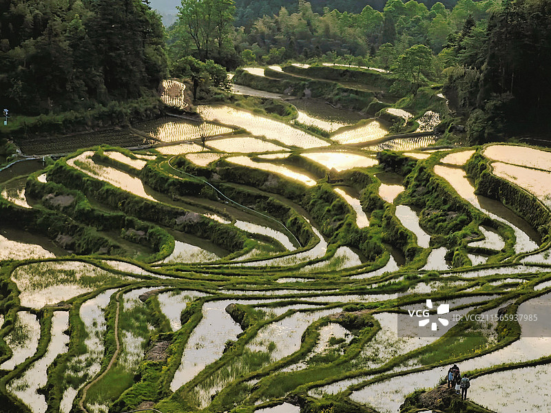 梯田图片素材