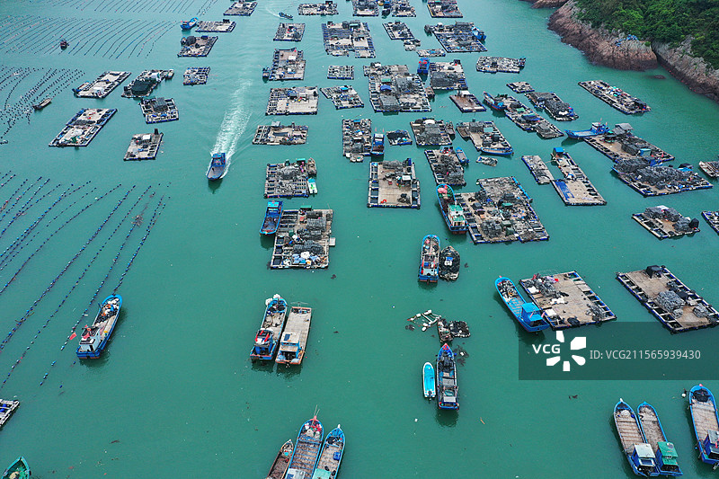 罗源湾的海上养殖基地海带种植图片素材