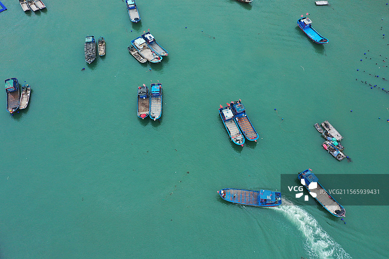 罗源湾的海上养殖基地海带种植图片素材