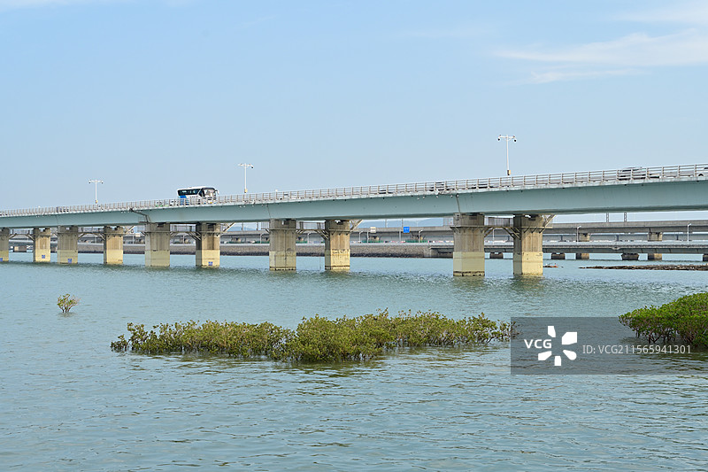 厦门集美大桥图片素材