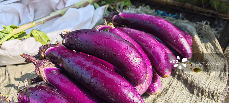 集市上的茄子图片素材