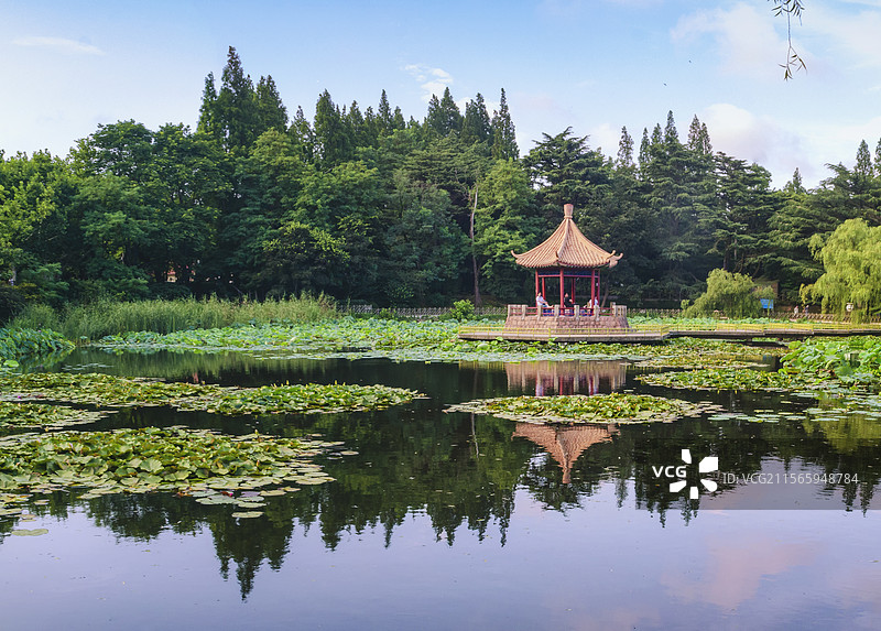 青岛中山公园小西湖夏日湖中小亭倒影图片素材