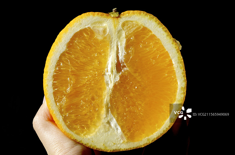 橙子切片图片素材