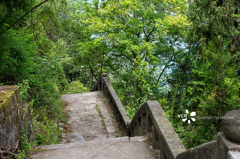 嘉陵江和旁边的树图片素材