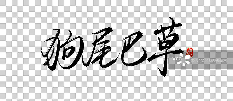 狗尾巴草手写书法字体素材（花草名称毛笔字体）图片素材