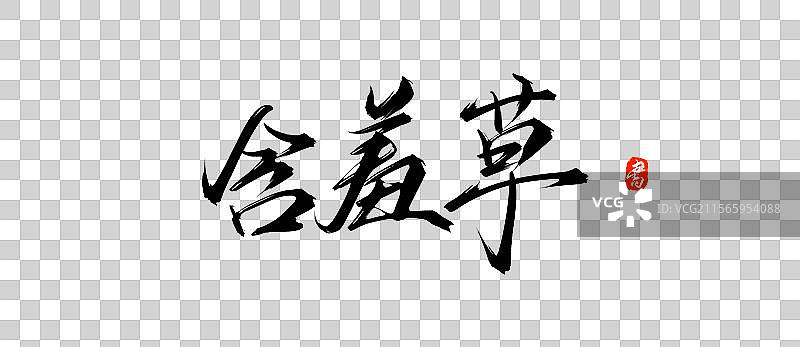 含羞草手写书法字体素材（花草名称毛笔字体）图片素材