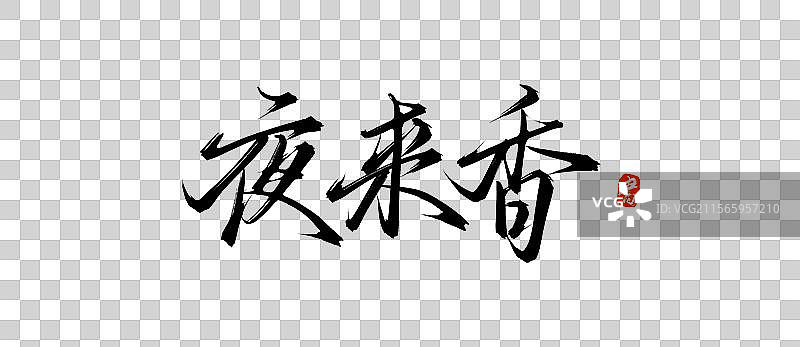 夜来香手写书法字体素材（花草名称毛笔字体）图片素材