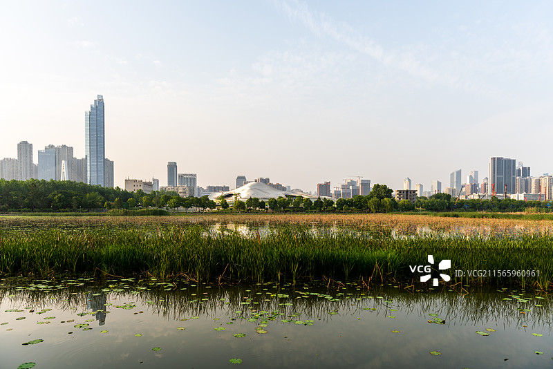 汉阳月湖公园图片素材