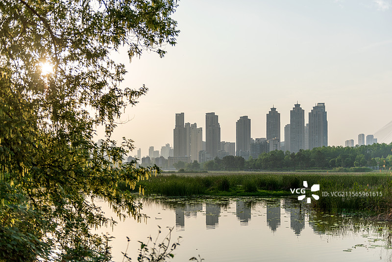 汉阳月湖公园图片素材