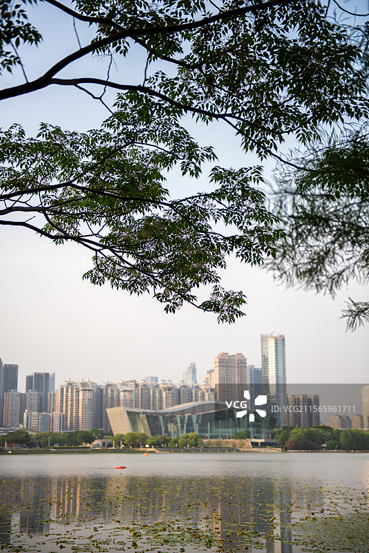 汉阳月湖公园图片素材