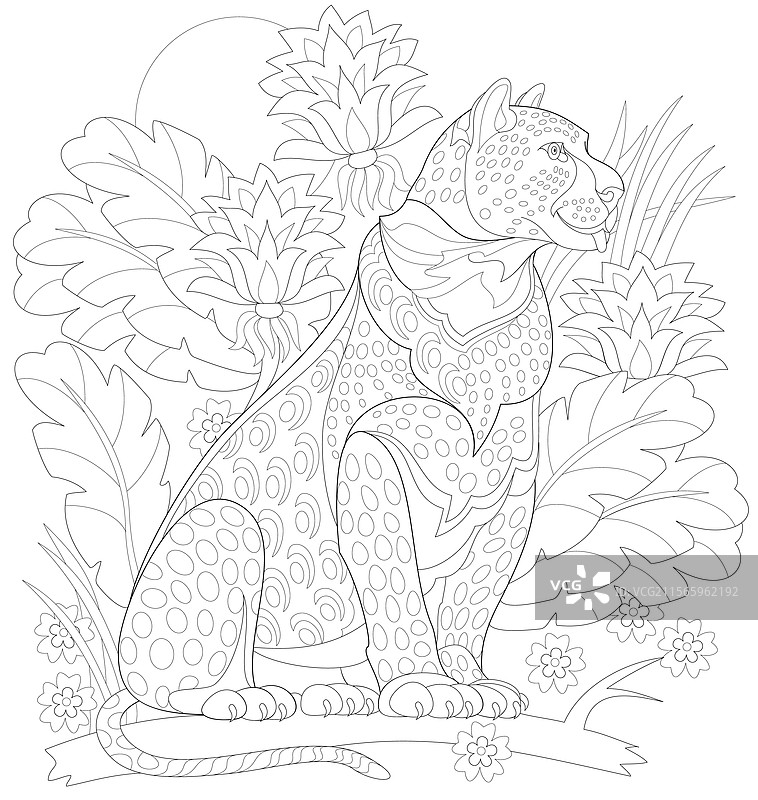 黑白涂色书的装饰页面图片素材