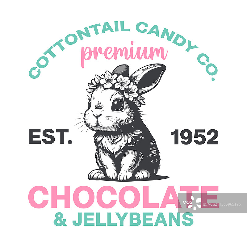 棉尾兔糖果公司优质巧克力果冻豆图片素材