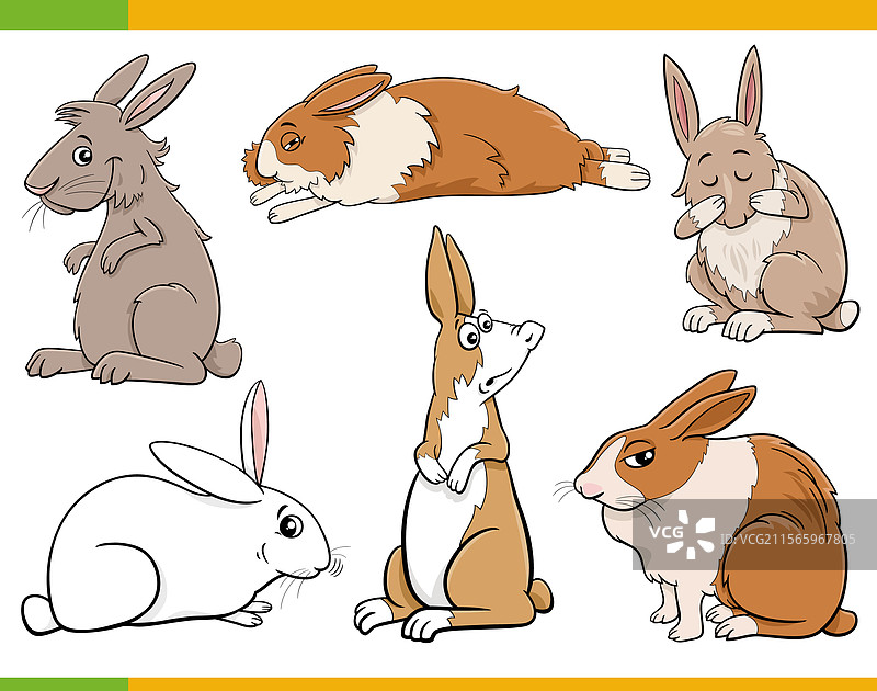 有趣的卡通迷你兔子动物角色图片素材