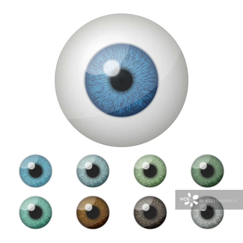 逼真的孤立圆形眼球套装图片素材