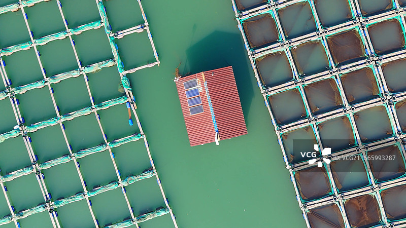 海岸渔业养殖基地海洋牧场港口鱼排海水养鱼海边鱼排蓝色海洋渔村漂浮水面上网箱养殖助力渔民渔业增收图片素材