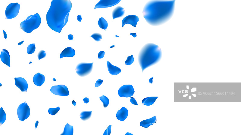 2月14日，浅蓝色玫瑰的花瓣飞舞得很远。图片素材