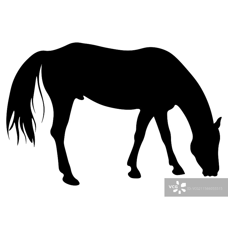 黑色的夏尔马 silhouette draft horse图片素材