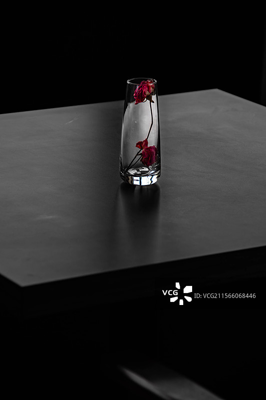 黑白与玫瑰图片素材