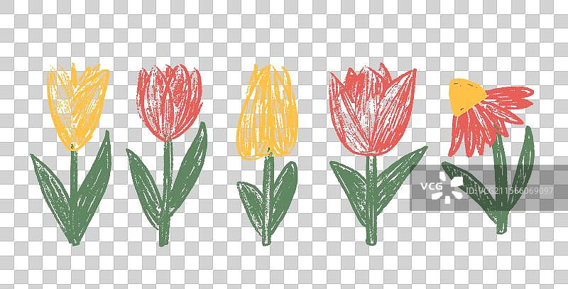 春天的蜡笔画郁金香花朵和番红花组合图片素材