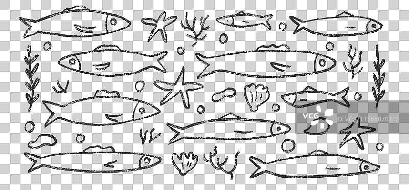 手绘沙丁鱼线条涂鸦套装图片素材