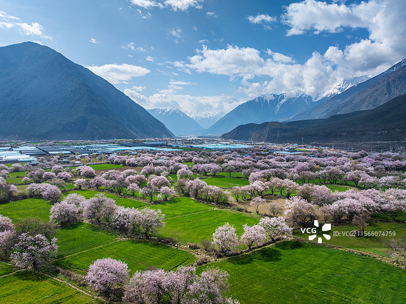 西藏林芝波密桃花沟美景图片素材