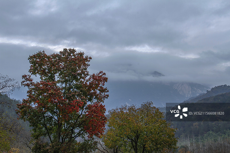 湖北罗田天堂寨下的秋色浓图片素材