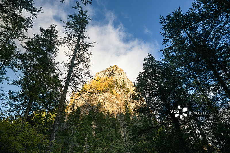 四川川西阿坝州九寨沟秋季彩林剑岩山峦秋日叙事： 阳光镀金与框景森林的明暗诗章图片素材