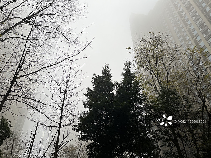 雾霾天图片素材