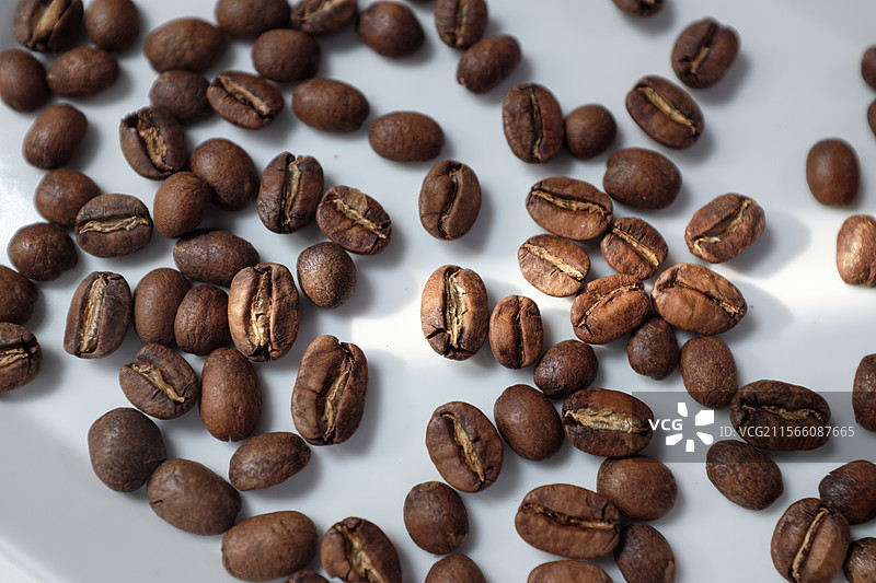 自然光下的哥伦比亚水洗瑰夏熟豆图片素材