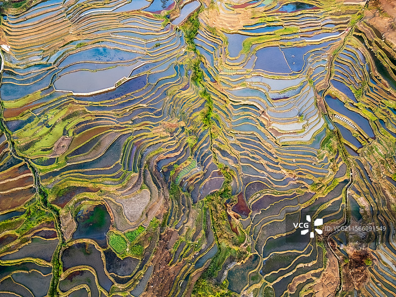 元阳哈尼梯田图片素材