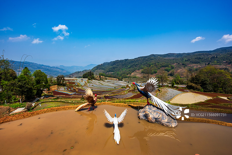 元阳哈尼梯田图片素材