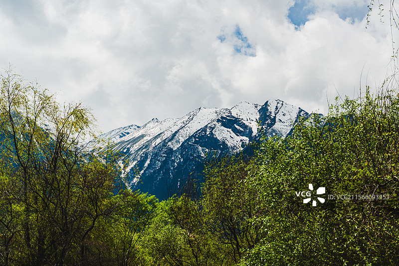 西藏林芝市巴宜区福建园景色图片素材