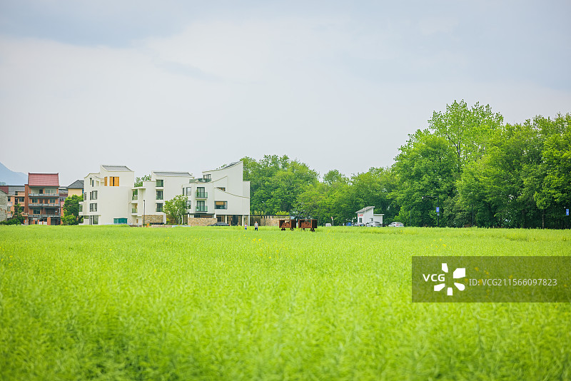 梅蓉春色--浙江杭州桐庐梅蓉村春日乡村风光图片素材