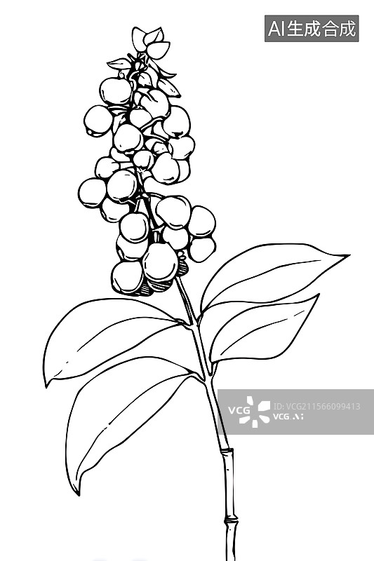 【AI数字艺术】线稿 植物图片素材