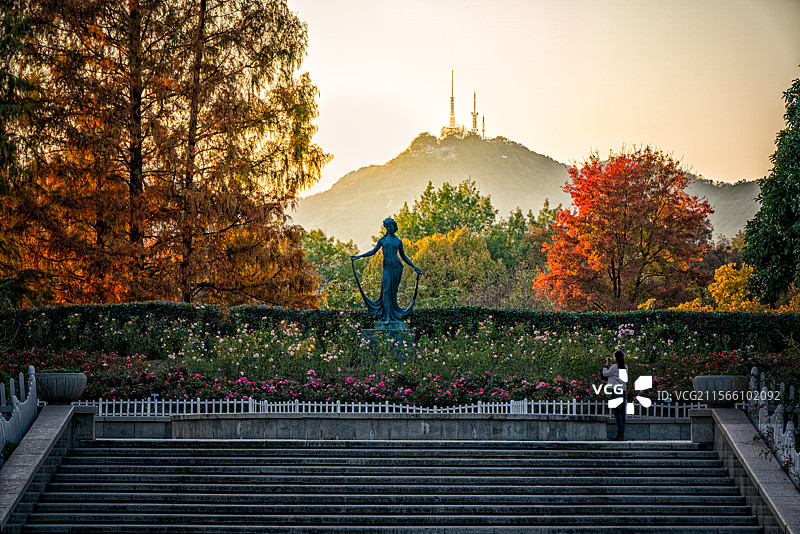 杭州西湖杭州花圃秋天的景色图片素材