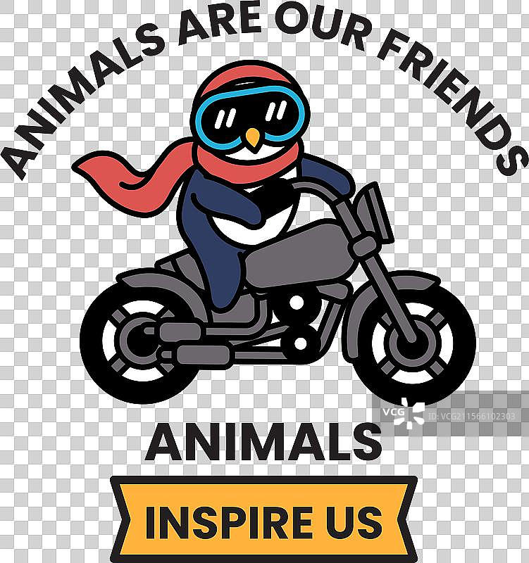 一只企鹅骑着摩托车图片素材