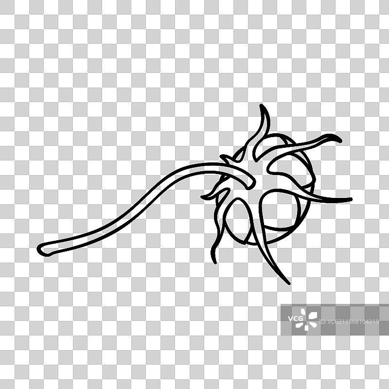 花苞黑色线稿图片素材