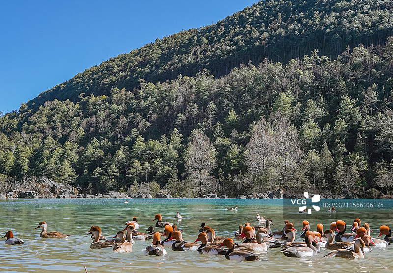 丽江-玉龙雪山国家风景名胜区-蓝月谷图片素材