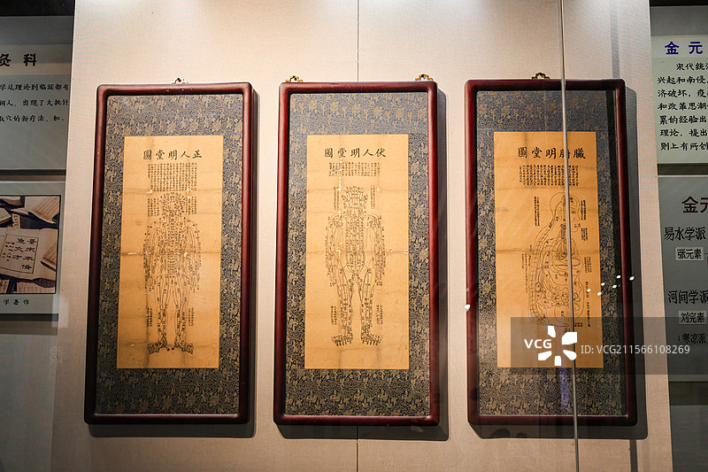 北京中医药大学中医药博物馆收藏的药方拓片和中医要发展历史组图图片素材