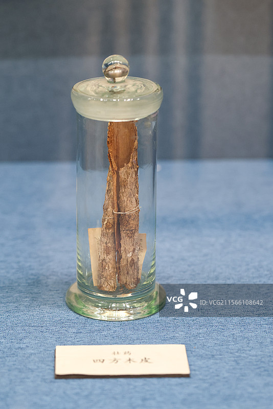 北京中医药大学中医药博物馆中国医学史展厅壮药老鼠拉车瓜和四方木皮图片素材