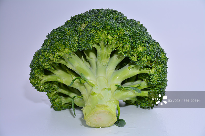 农产品西兰花图片素材