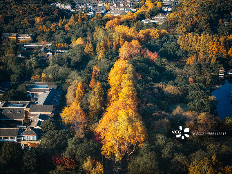 杭州西湖的绝美秋景图片素材