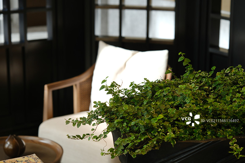 香港港岛 香港瑞吉酒店图片素材