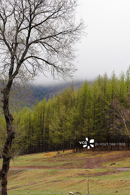 赤峰喀喇沁旗的美林谷景区图片素材