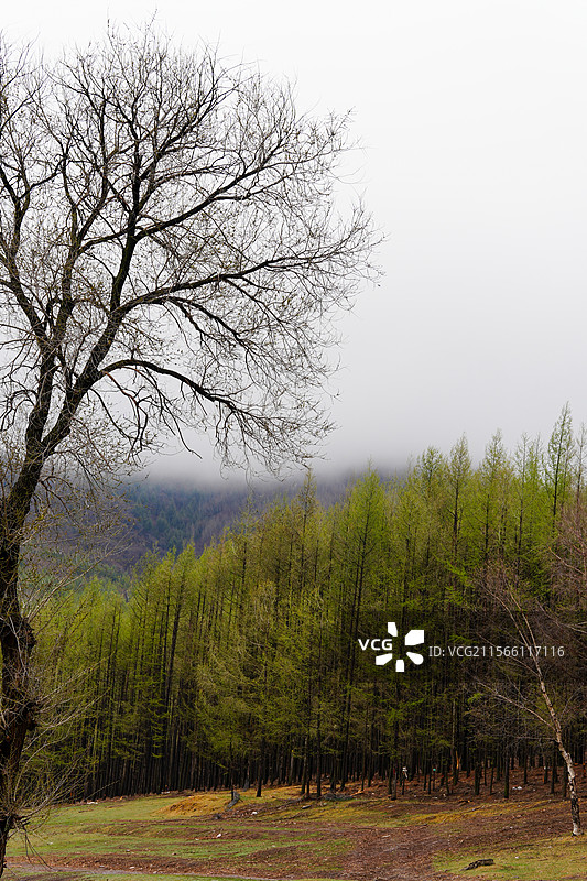 赤峰喀喇沁旗的美林谷景区图片素材