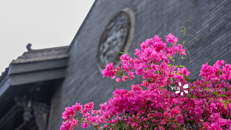 横琴岛核心区香洲埠图片素材
