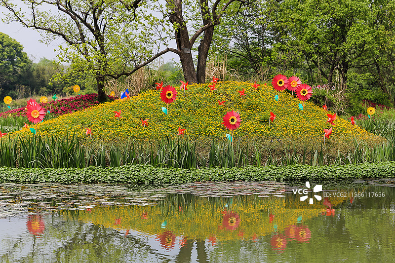 西溪花朝节图片素材