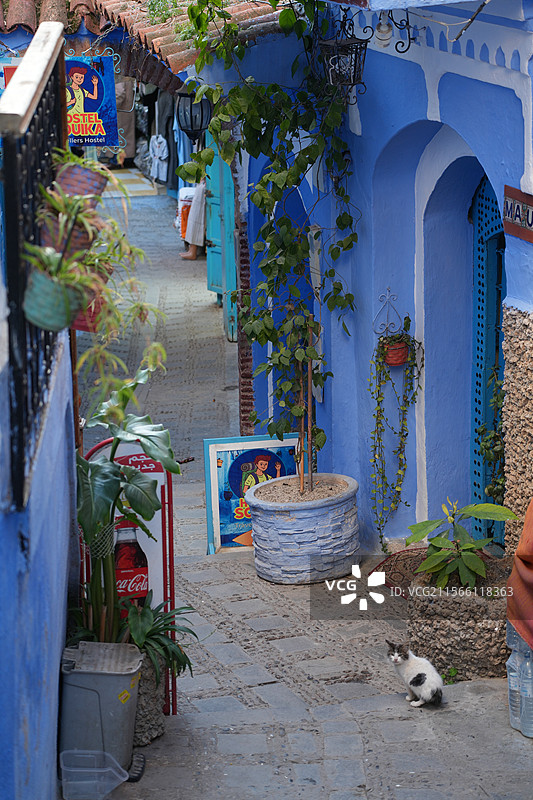 摩洛哥蓝色小镇舍夫沙万图片素材